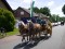 4 Bilder vor
