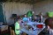 Bild vor