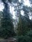 Bild vor