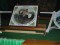 3 Bilder vor