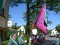 3 Bilder vor