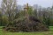 Bild vor