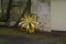 aktuelles Bild