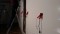 3 Bilder vor
