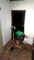 Bild vor