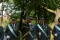 4 Bilder vor