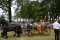 Bild vor