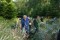 Bild vor