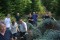 Bild vor