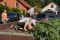 4 Bilder zurück