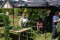 3 Bilder vor