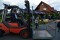 3 Bilder vor