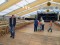 4 Bilder vor