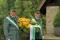 Bild vor