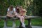 aktuelles Bild
