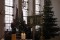 Bild vor