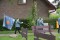 3 Bilder vor