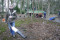 4 Bilder vor