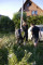 3 Bilder zurück
