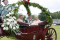 aktuelles Bild