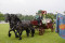 4 Bilder vor