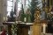 4 Bilder vor