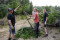 3 Bilder zurück