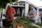 3 Bilder vor