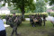 aktuelles Bild