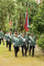 4 Bilder vor