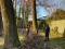 4 Bilder vor