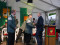 Bild vor