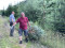 4 Bilder zurück