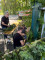 4 Bilder vor