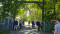 3 Bilder vor