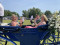2 Bilder vor