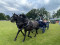 3 Bilder vor
