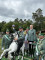 3 Bilder vor