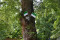 4 Bilder vor