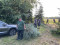3 Bilder vor