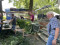 4 Bilder vor