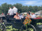 Bild vor