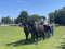 3 Bilder zur&uuml;ck
