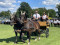 3 Bilder zur&uuml;ck