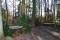 Bild vor