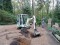 Bild vor