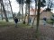 aktuelles Bild