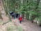 3 Bilder vor