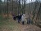 3 Bilder vor