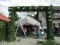 4 Bilder vor